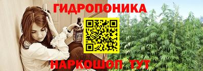 сатива Лесосибирск