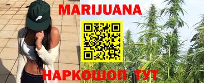 сатива Лесосибирск