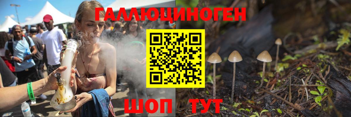 Галлюциногенные грибы Psilocybe  Вход с VPN  Черкесск  Галлюциногенные грибы MAGIC MUSHROOMS 